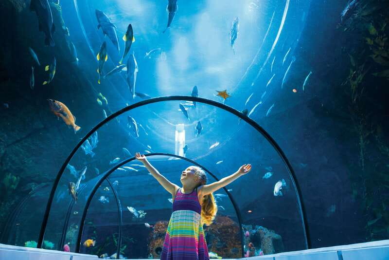 Quebec: Aquarium du Quebec Entry Ticket - Touch the cownose stingrays
