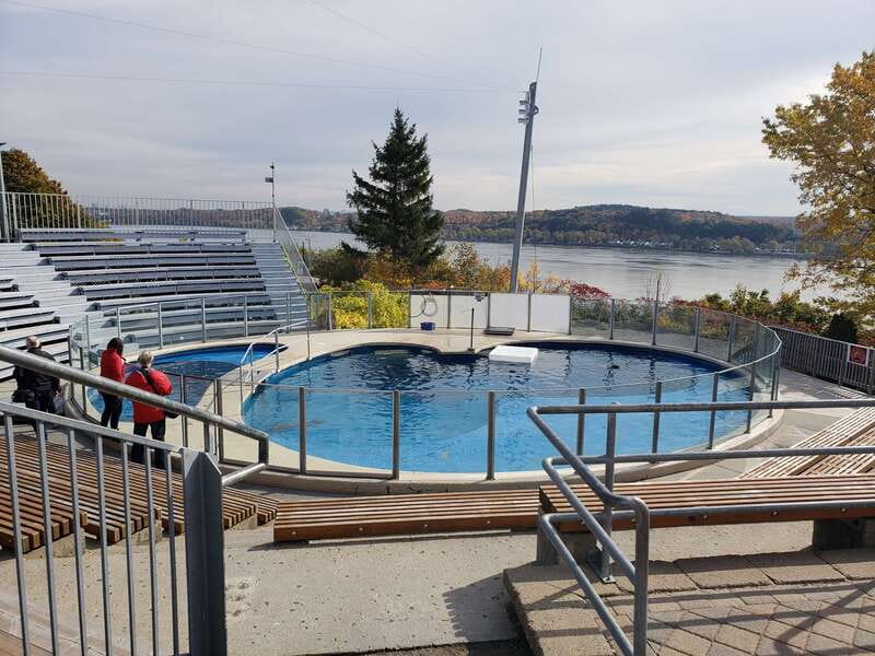 Quebec: Aquarium du Quebec Entry Ticket - Arctic foxes, outdoor paths, and river views