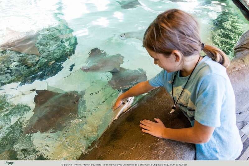 Quebec: Aquarium du Quebec Entry Ticket - Parking, shuttle service, and access