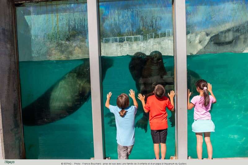 Quebec: Aquarium du Quebec Entry Ticket - Start inside with the Awesome Ocean tunnel