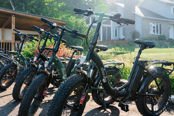 Quebec City - Electric Bike Rental on Ile d'Orléans - Churches, gardens, and shoreline views