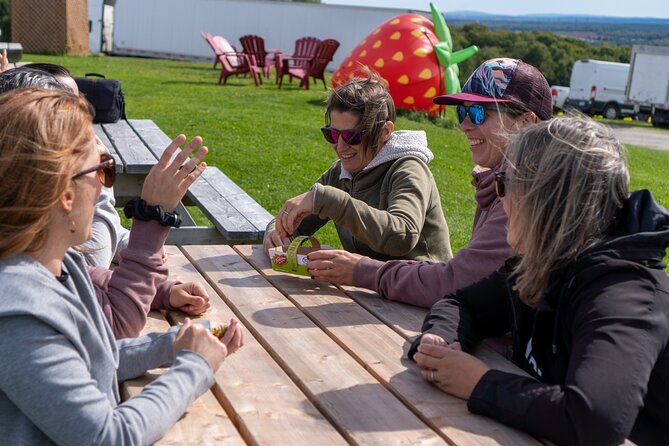 Quebec City - Guided E-Bike Tour & Tastings - Ile d'Orléans - Berries and St. Lawrence views at Ferme François Gosselin