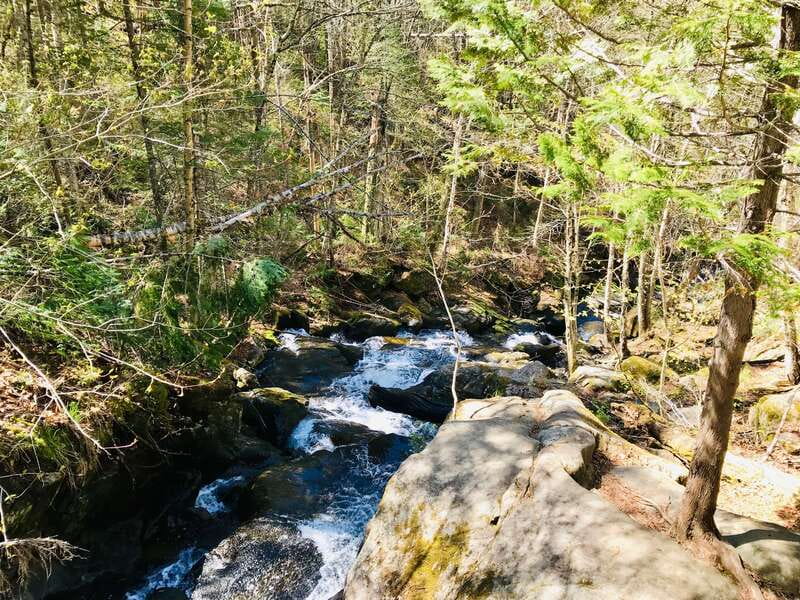 Quebec City: Guided Hike in Jacques-Cartier National Park - Afternoon freedom changes the pace