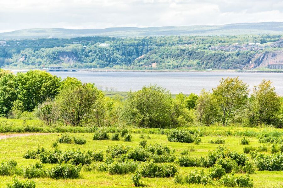 Québec City: Guided Sightseeing River Cruise - What the bilingual guide adds