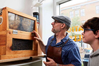 Quebec City: Honey and Distillery Tour with Tasting