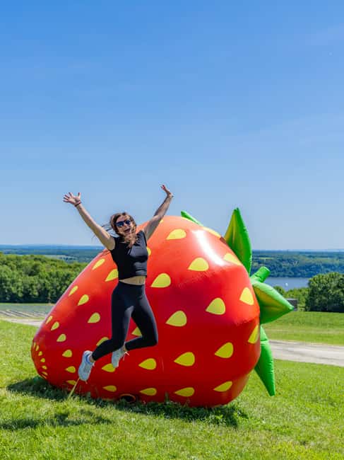 Quebec City: Ile d'Orléans Guided E-Bike Tour with Tastings - Key points at a glance