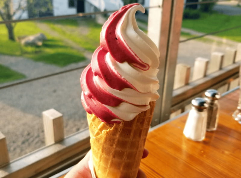 Quebec City: Island of Orléans Taste Trail - The ride across the river