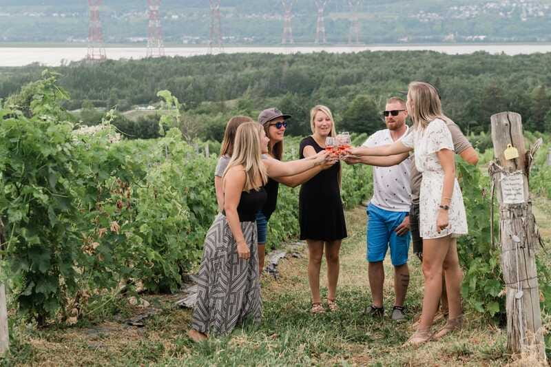 Quebec City: Island of Orleans Wine Tour - Timing, comfort, and small-group realities