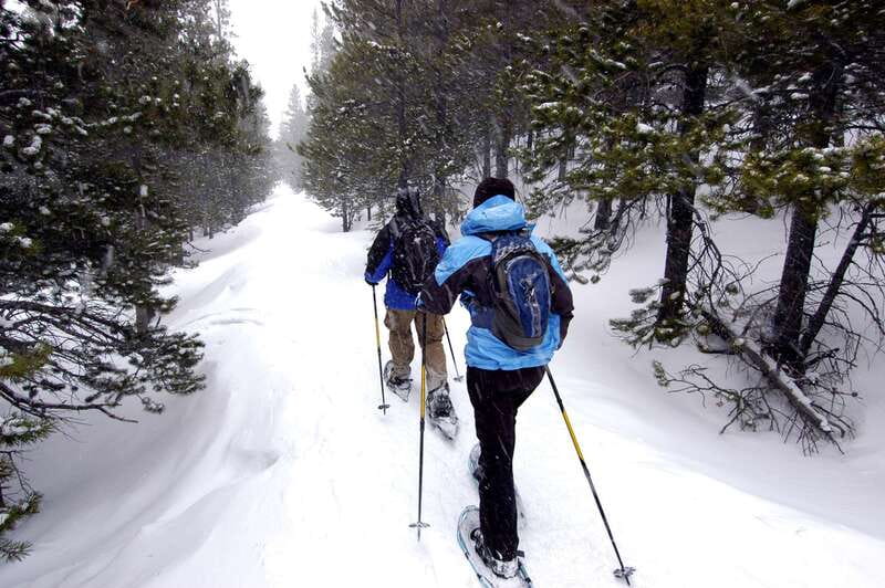 Quebec City: Jacques-Cartier National Park Snowshoeing Tour - Key points before you book