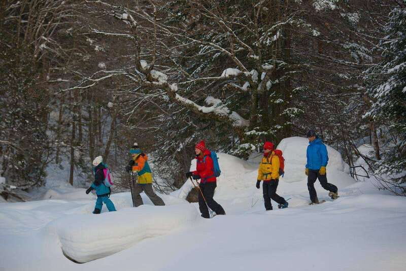 Quebec City: Jacques-Cartier National Park Snowshoeing Tour - Who should book this snowshoe tour?