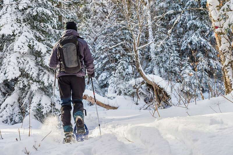 Quebec City: Jacques-Cartier National Park Snowshoeing Tour - Learning to snowshoe before the forest walk
