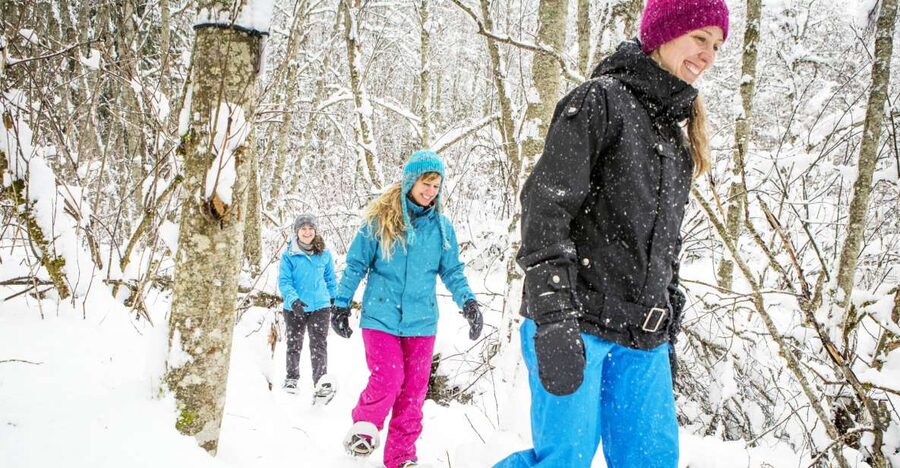 Quebec City: Jacques-Cartier National Park Snowshoeing Tour - Small nature lessons from Victor, Gabrielle, and the other guides