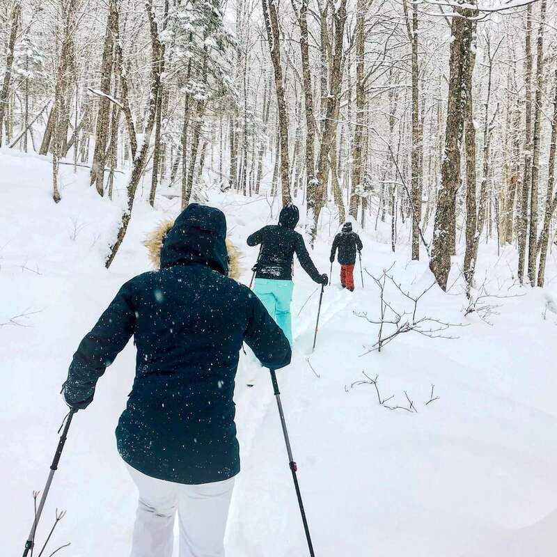 Quebec City: Jacques-Cartier National Park Snowshoeing Tour - Is $108 a fair price?