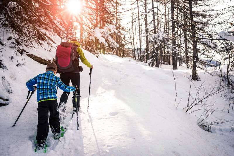 Quebec City: Jacques-Cartier National Park Snowshoeing Tour - Leaving Quebec City by Quatre Natures minibus