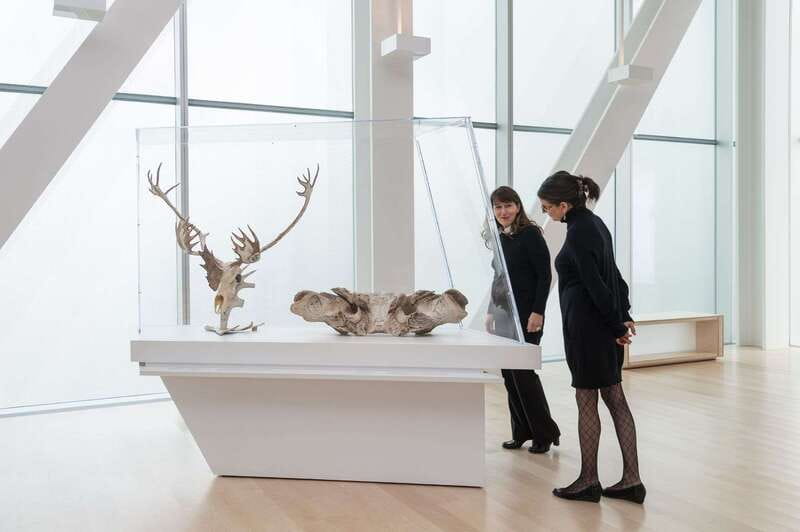 Quebec City: MNBAQ National Fine Arts Museum Entry Ticket - Why the MNBAQ is worth your Quebec City time