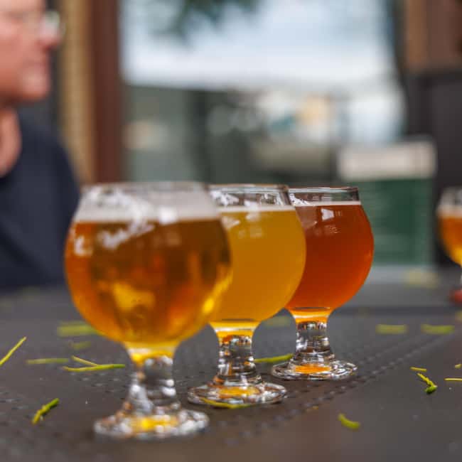 Quebec City: Montmorency Falls and Microbrewery eBike Tour - Key points to know before you book