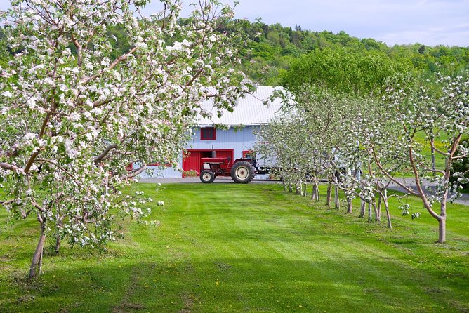 Quebec City - Regular Bike Rental on Ile d'Orléans - River views, farms, and photo stops