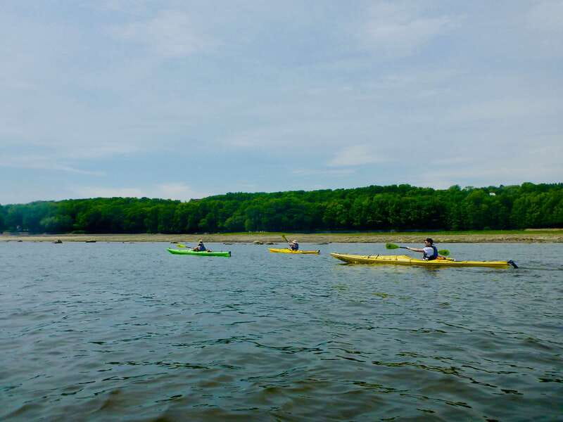 Quebec City: Sea-Kayaking Tour in Orleans Island - Who should book this outing