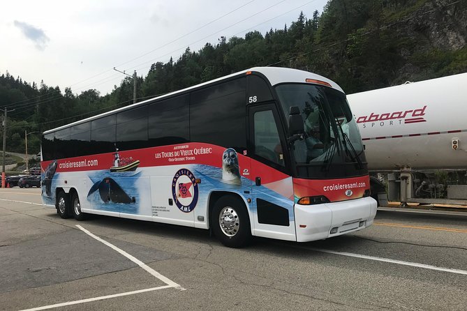 Québec City: Whale Watching Tour with Bus Transportation - Food, Bathrooms, and the Long Day