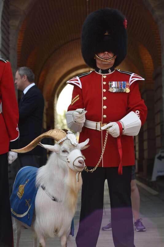 Quebec: La Citadelle de Québec Ticket and Guided Tour - What happens during the one-hour guided visit
