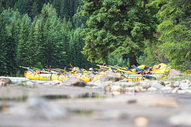 Rafting Adventure on the Kicking Horse River - The guides make the biggest difference