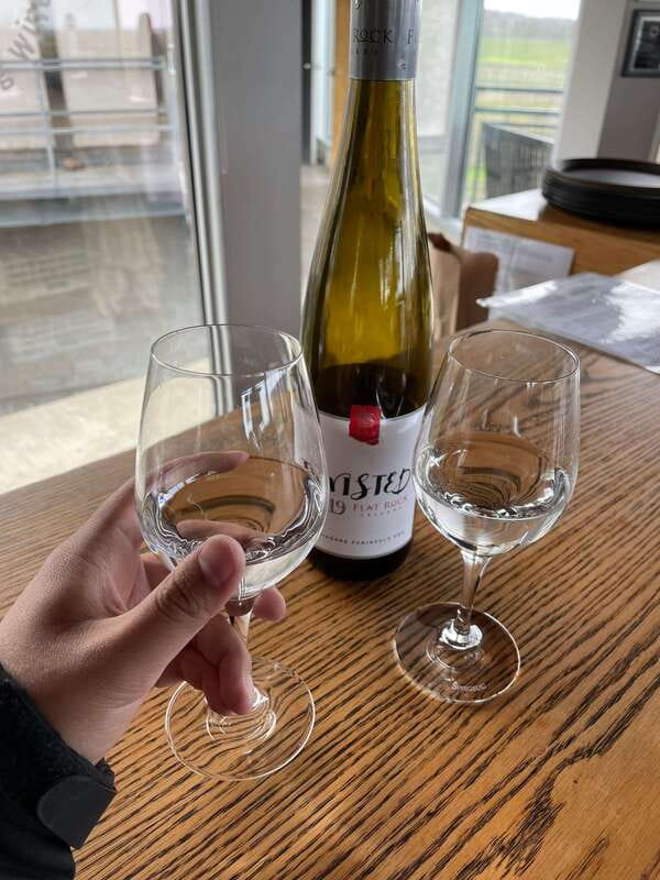 Relaxing Lunch & Wine Tour through Niagara's Wine Country - Why this Niagara wine day works