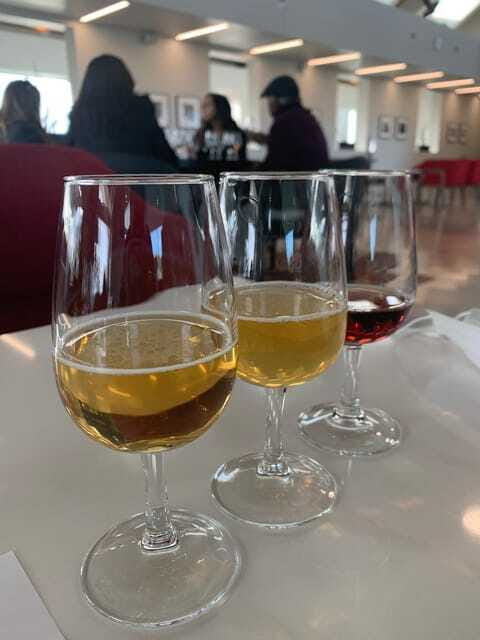 Relaxing Lunch & Wine Tour through Niagara's Wine Country - Who should book this tour