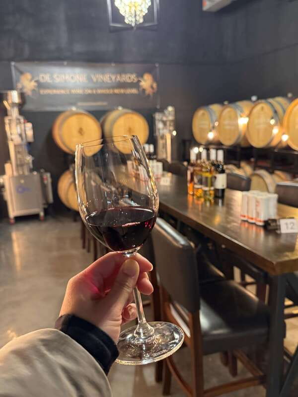 Relaxing Lunch & Wine Tour through Niagara's Wine Country - Starting in Niagara-on-the-Lake wine country