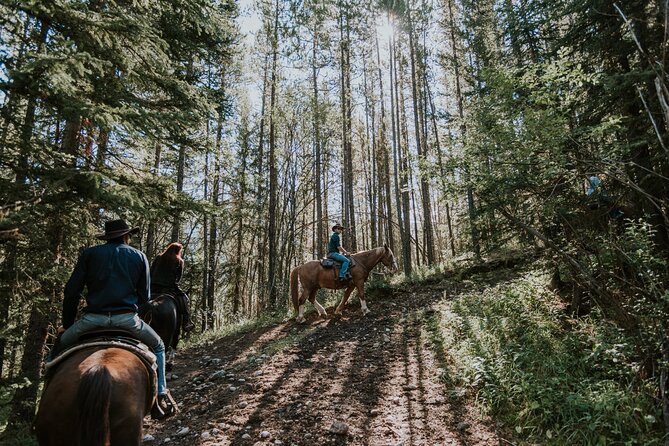Ridge Ride 2-Hour Horseback Trail Ride in Kananaskis - Getting matched with a horse
