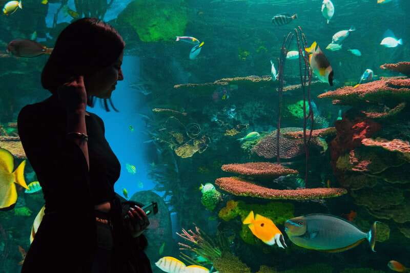 Ripley's Aquarium: Sharks After Dark Entry (After 5PM) - Booking, cancellation, and timing details