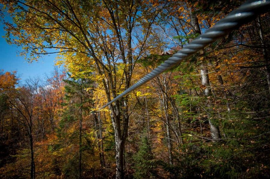 River Ziplines - Nature Tours - FAQ