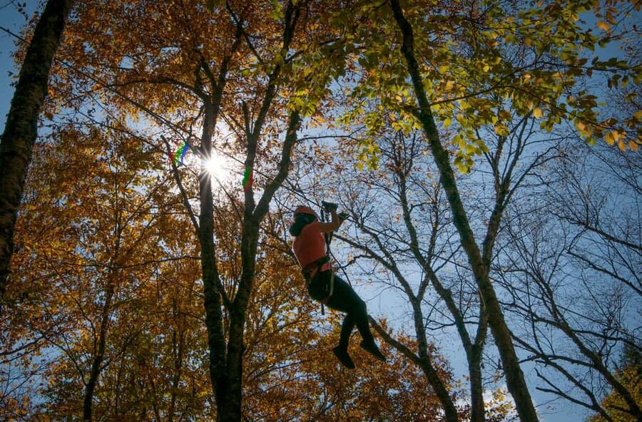 River Ziplines - Nature Tours - What the two-hour outing is like