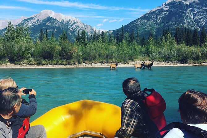Rocky mountain - VIP Experience - Private Boat - What the 1 Hour 45 Minutes Includes