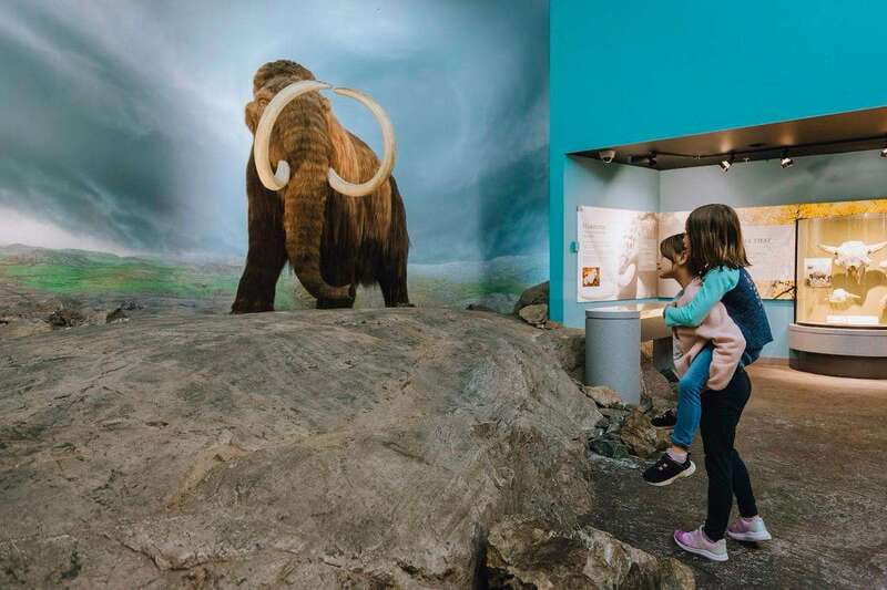 Royal B.C. Museum in Victoria: Full-Day Admission Ticket - What the $22 Ticket Gives You