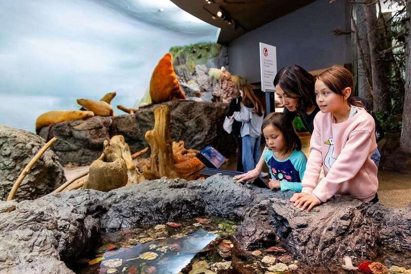 Royal B.C. Museum in Victoria: Full-Day Admission Ticket - Jonathan Hunt House and Indigenous Perspectives