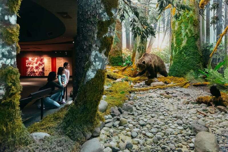 Royal B.C. Museum in Victoria: Full-Day Admission Ticket - Coastal Rainforest and Real Marine Life