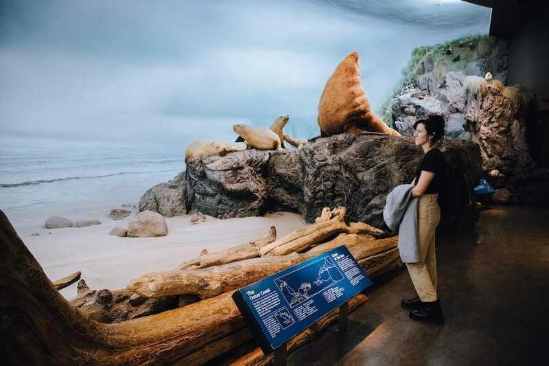 Royal B.C. Museum in Victoria: Full-Day Admission Ticket - Thunderbird Park and St. Ann’s Schoolhouse