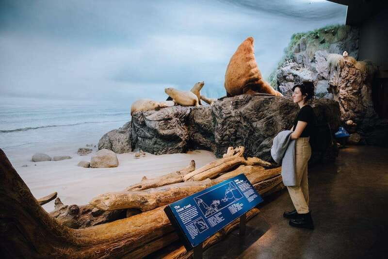 Royal B.C. Museum in Victoria: Full-Day Admission Ticket - Start With Old Town and the HMS Discovery Replica