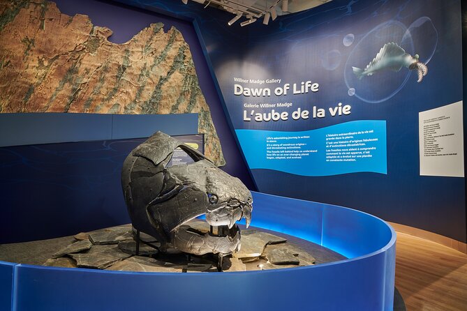 Royal Ontario Museum Admission - Why the ROM deserves half a day in Toronto