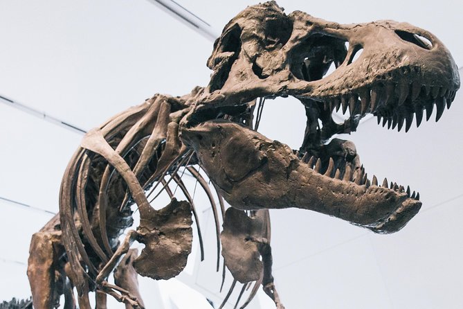 Royal Ontario Museum Admission - Gordo, dinosaurs, and the best family stops
