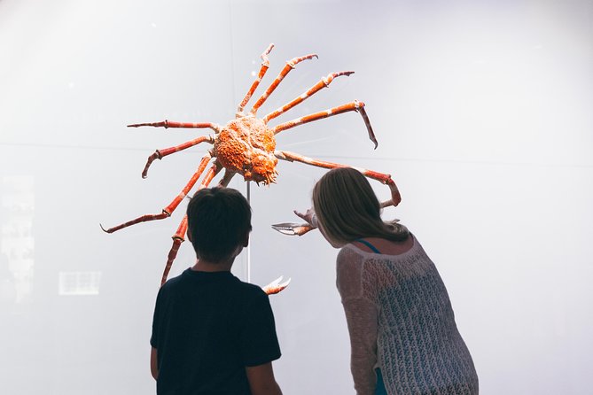 Royal Ontario Museum Admission - Natural history, meteorites, jewels, and the Earth experience