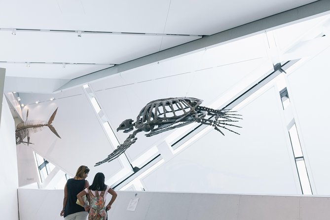 Royal Ontario Museum Admission - What the price gives you