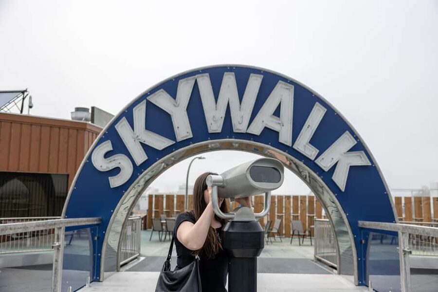 Saint John Driving Tour With Skywalk, Martello Tower & Fort - Seeing the city from the van