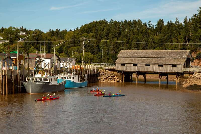 Saint John: Guided Kayaking Tour of St. Martins Sea Caves - From fishing boats to the Bay of Fundy