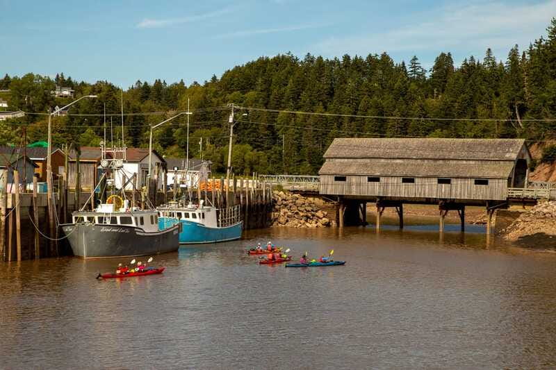 Saint John: Guided Kayaking Tour of St. Martins Sea Caves - Getting there from Saint John or a cruise ship