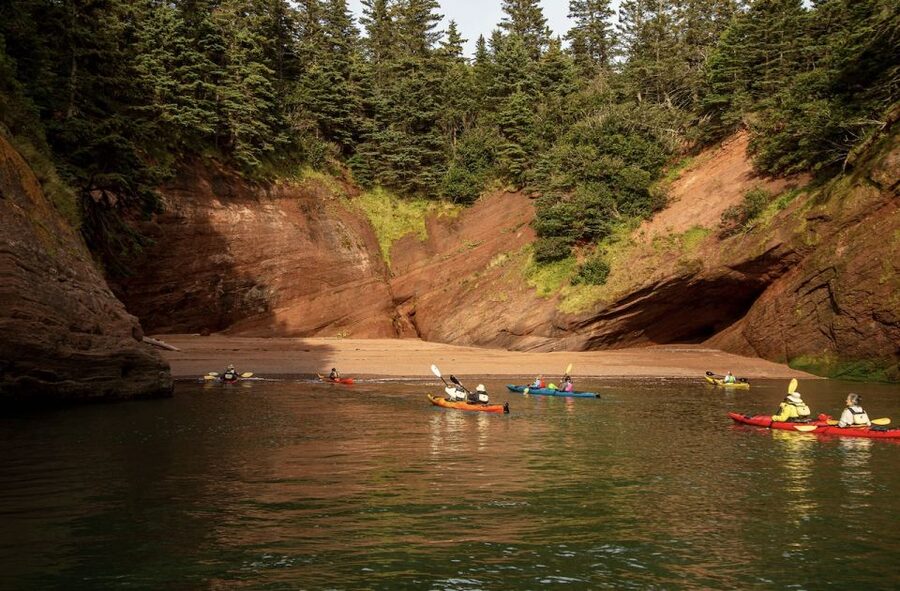 Saint John: Guided Kayaking Tour of St. Martins Sea Caves - Who will enjoy this most?