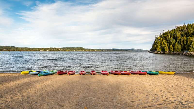 Saint John River: River Relics Kayak Tour - Key points at a glance