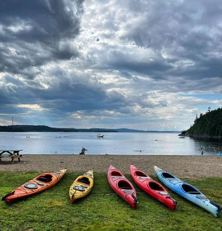 Saint John River: River Relics Kayak Tour - Ancient marble and the first fossil records