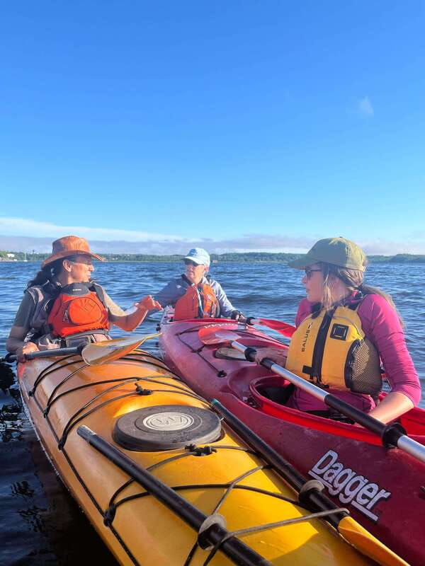 Saint John River: River Relics Kayak Tour - Wildlife to watch for from the kayak