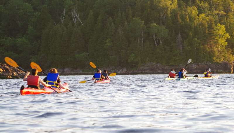 Saint John River: River Relics Kayak Tour - Weather, comfort, and who should book